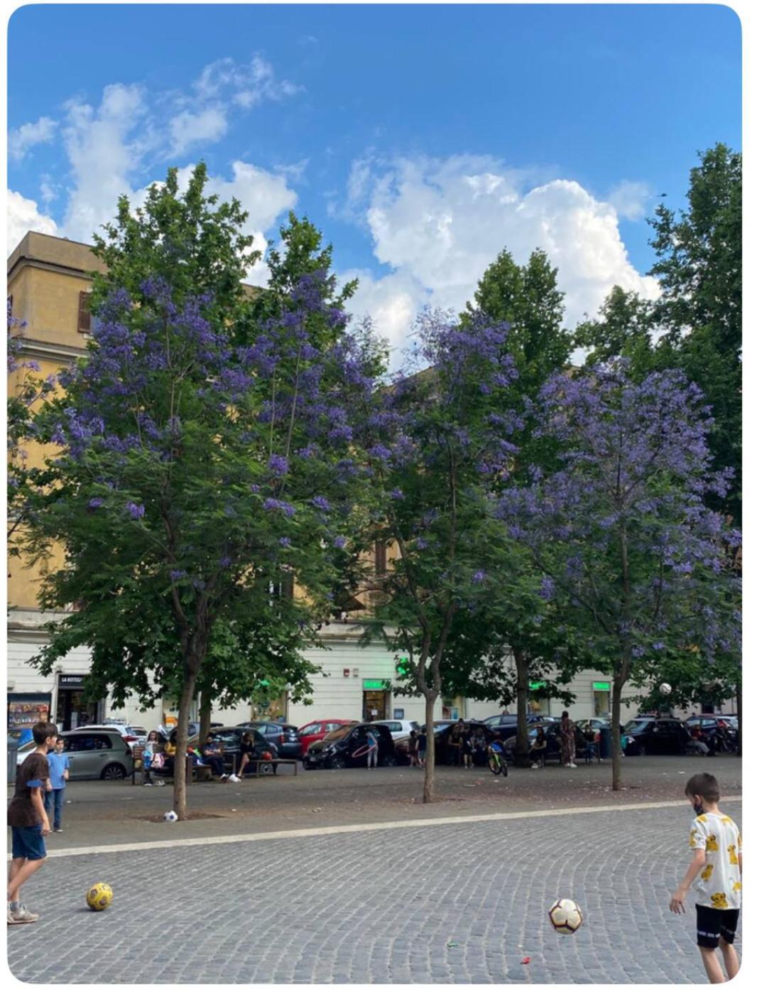 Testaccio Historic House Roma Eksteriør bilde